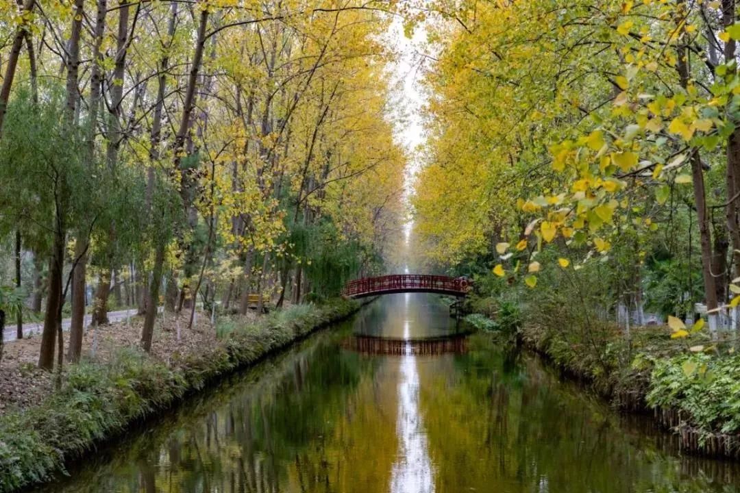 合肥大蜀山游玩攻略,合肥蜀山区最值得去的地方