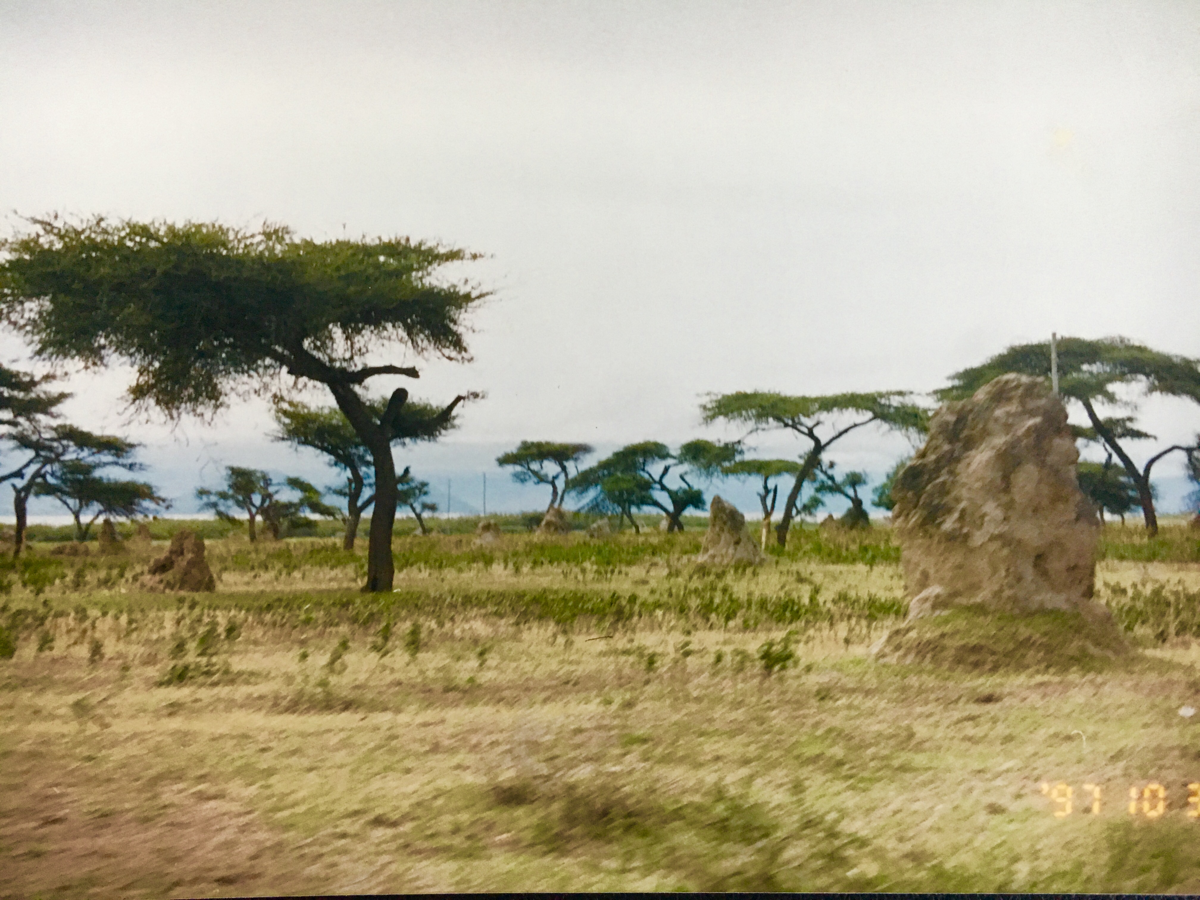埃塞俄比亚近代历史,犹太人和巴勒斯坦的来龙去脉