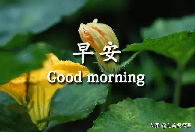 早安手机短信,发给朋友早上好短信