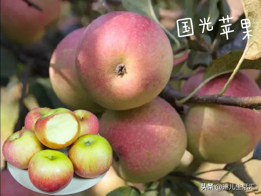 每天认识一种美食,每天认识一种食品