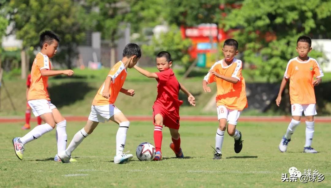 体教融合丨梅县区:中小学生足球联赛持续精彩,新城小学顽强夺冠
