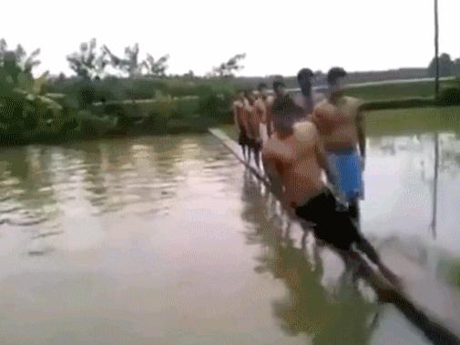 印度大兄弟最新视频,印度大兄弟