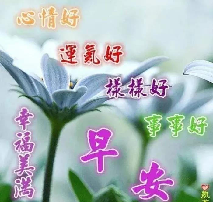 走在路上,要么独自闯荡,要么紧随人后,早安