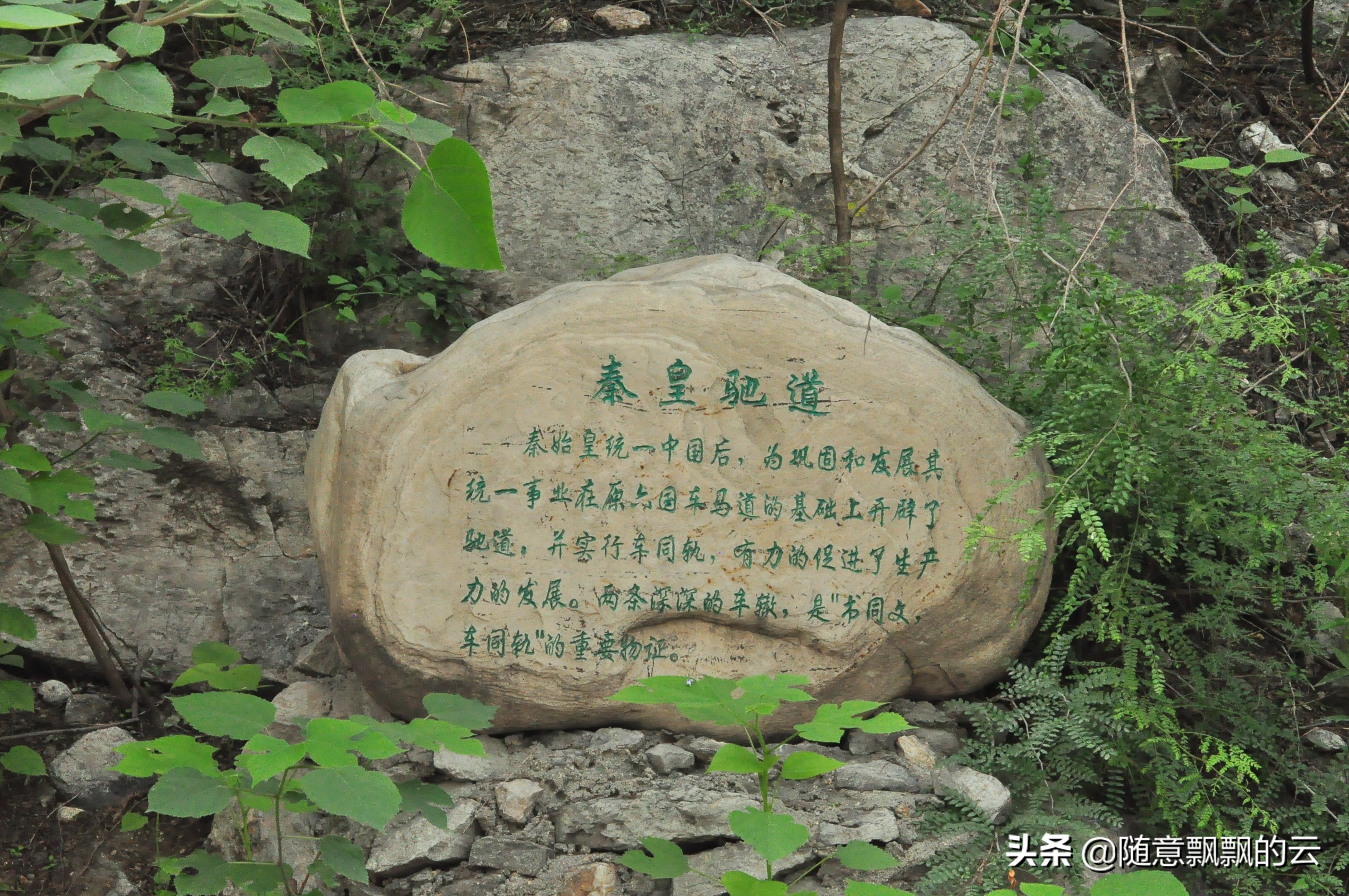 绉︾殗鍙ら亾鍗冨勾娌ф,绉︾殗鍙ら亾涓婄殑鍗冨勾鍙ゆˉ