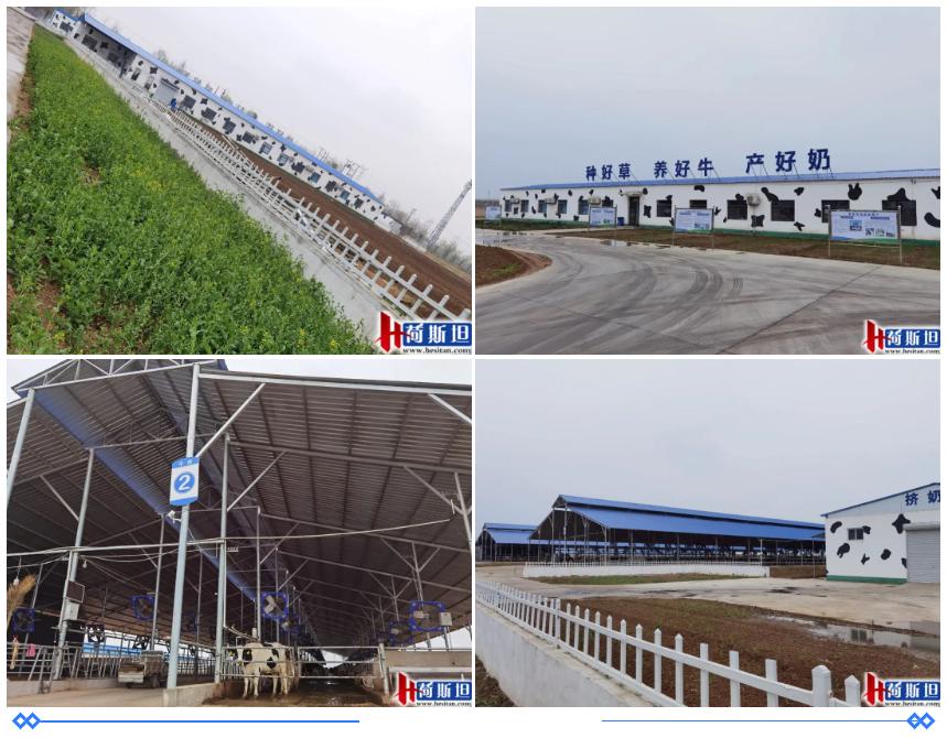 走进乐源君邦和邢台君兴丨中瑞项目她来了