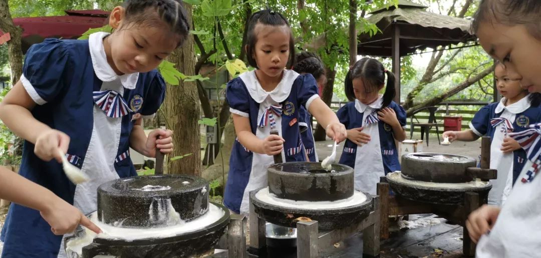 恩平花海世界研学活动,恩平花海欢乐世界研学之旅作文