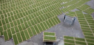 国际茶文化节,第四届中国国际茶文化节