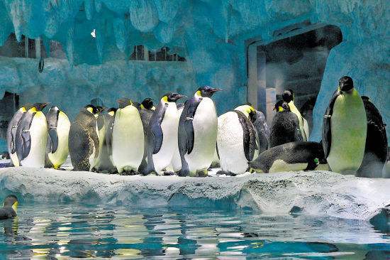 珠海长隆两日一晚游玩攻略,珠海长隆一日游攻略中餐