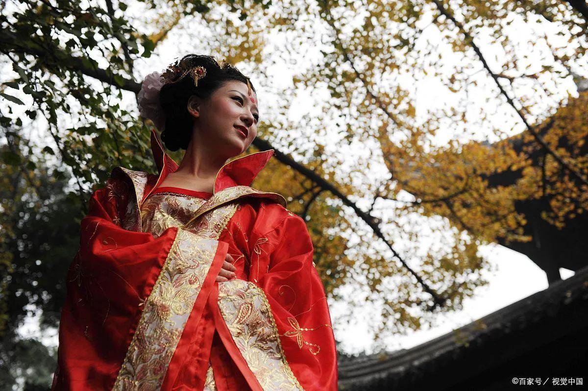 有一种花秋天种下冬天开花,有一种花秋天开的很漂亮是什么花