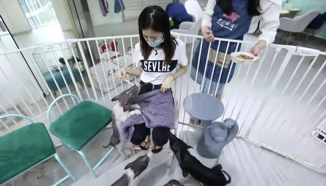 宠物生活馆盘点,北京人气宠物乐园推荐