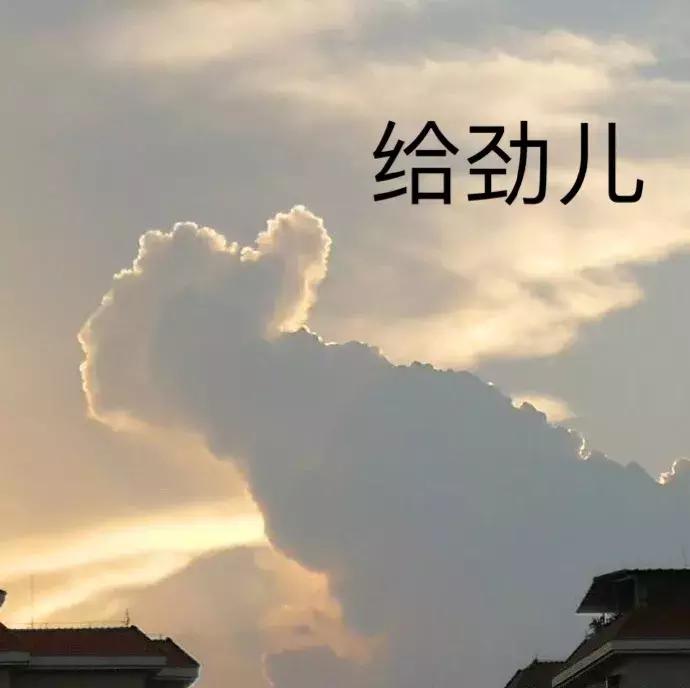 售价2000起，这些被误会多年“国际大牌”实际都是广州产伪洋货