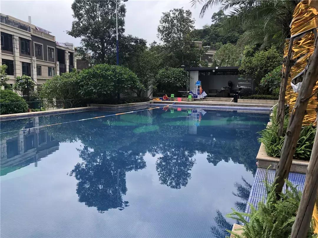 广州十大游泳池,黄埔游泳池有哪些