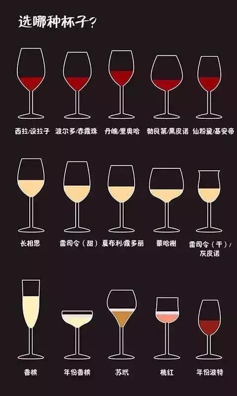 葡萄酒品酒知识,葡萄酒品酒大师
