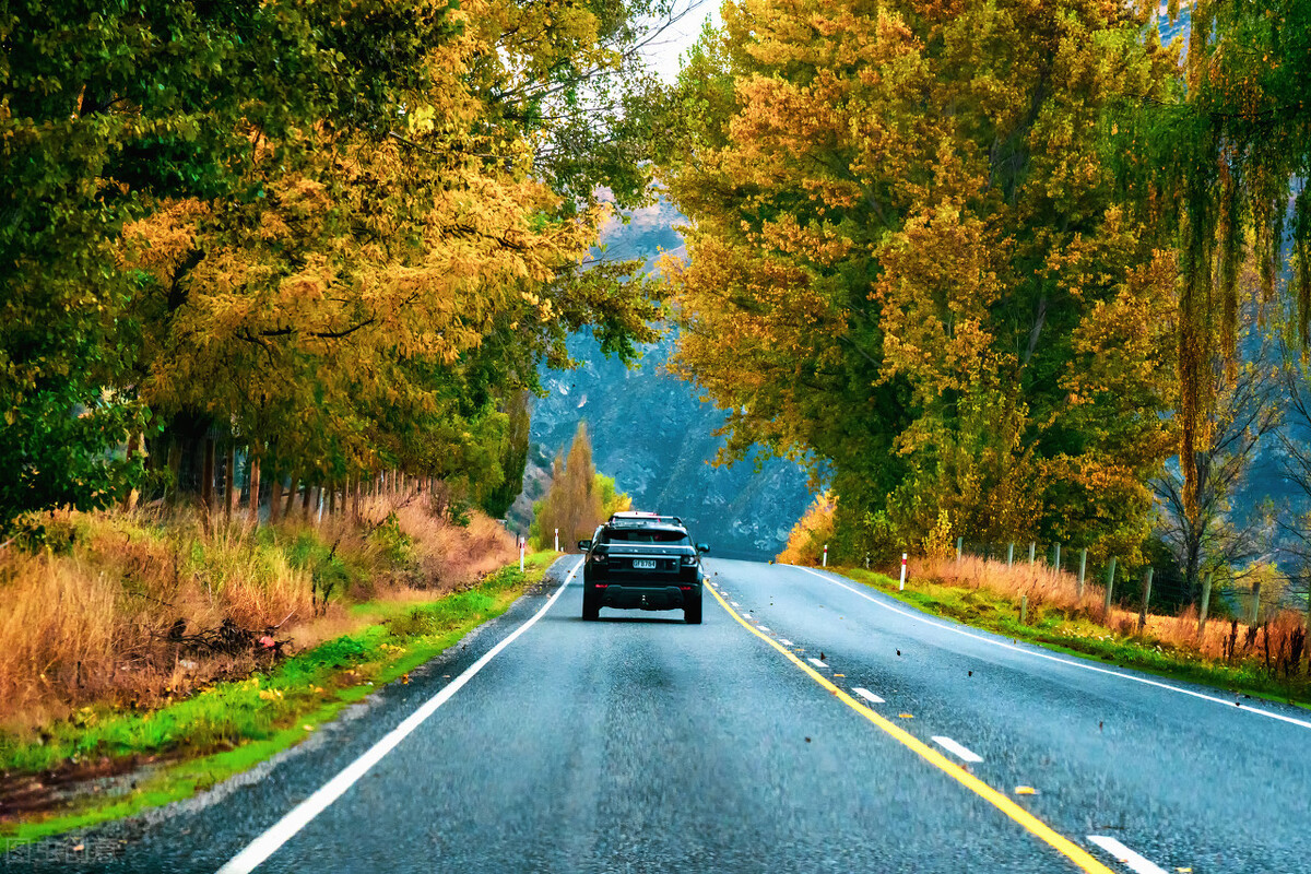品牌文案100条金句,如何写好一个品牌的文案