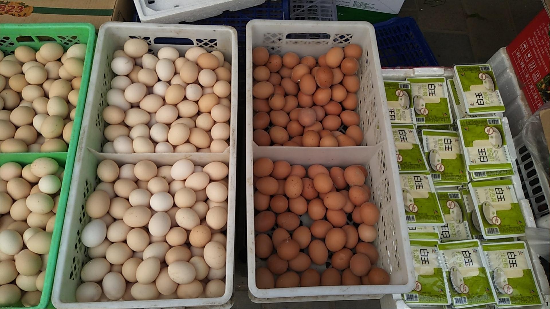 返京人员疫情防疫,抗击疫情医护人员陆续返乡