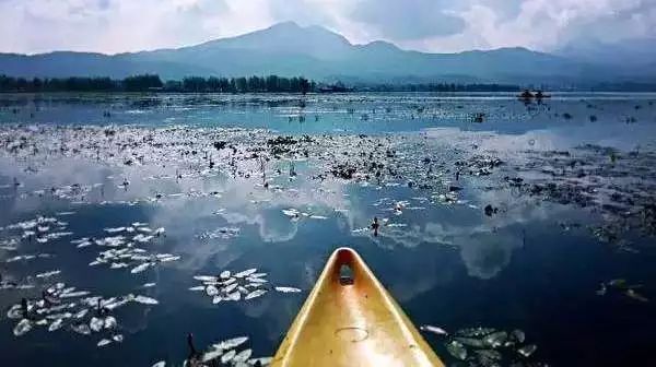 每个人的旅行清单，都有个云南，或迟或早，我们都将到达那方天地