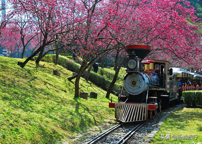 台湾日月潭旅行观光,台湾阿里山赏樱攻略