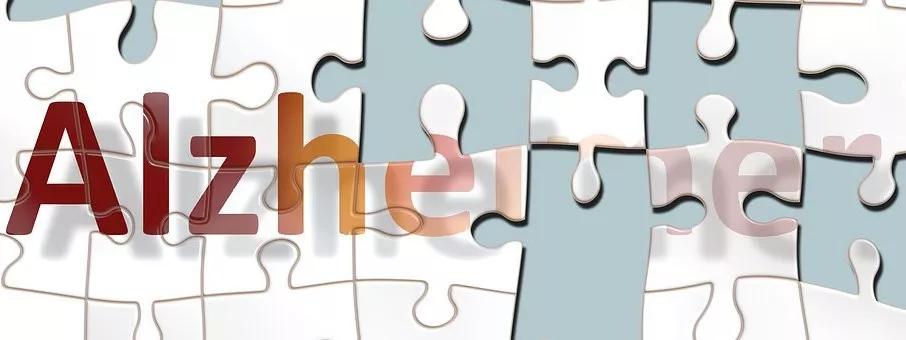 关于吃的学问的研究报告,2019年最受关注的20项医学研究