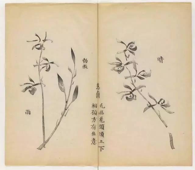 毛笔怎么画兰草,怎么画兰花和书法