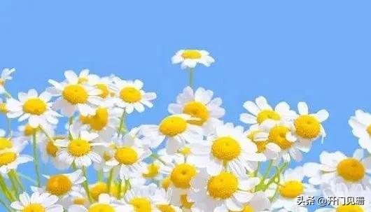 习惯性讨好的人，教你摆脱这种状态