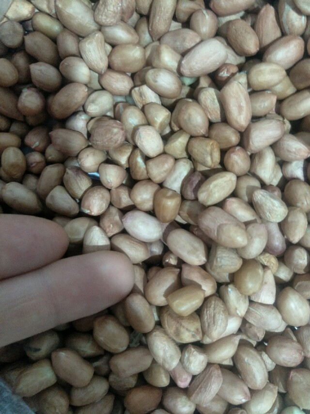 花生米上潮了不好吃，神秘液体巧回脆，究竟是什么液体呢那么神奇