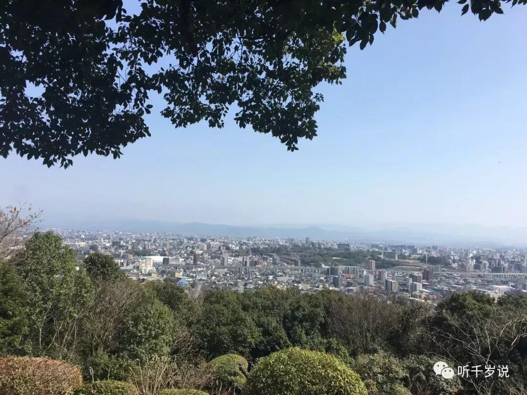 日本东京熊本熊,日本熊本游