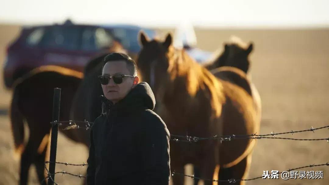 敖鲁古雅原始部落驯鹿喂草,敖鲁古雅驯鹿旅行