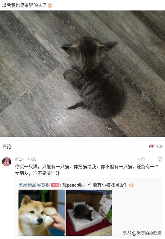 “第一次跟情侣睡，是什么感觉？”评论区都是高手啊！哈哈哈