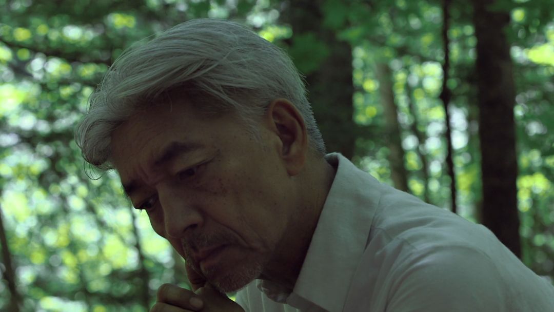 豆瓣评分9.5以上的纪录片,一部豆瓣9.5纪录片30分钟圈粉无数