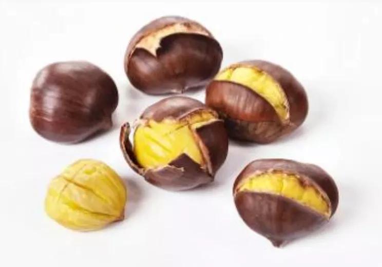 今日养生美食推荐,今日养生保健食谱