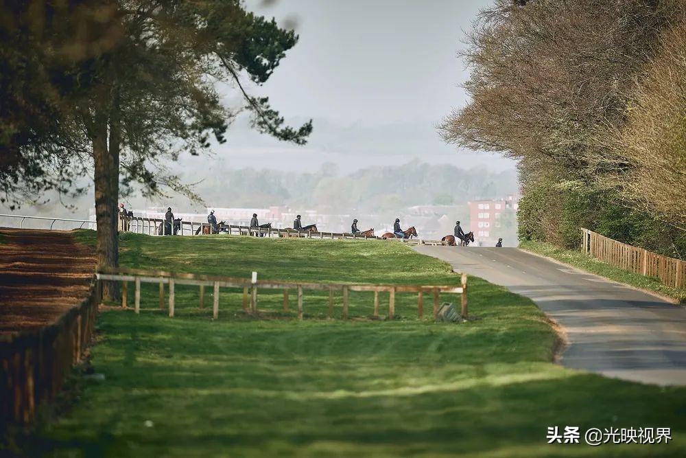 2022年度的ipa摄影大赛获奖作品,2020ippa摄影大赛奖项公布