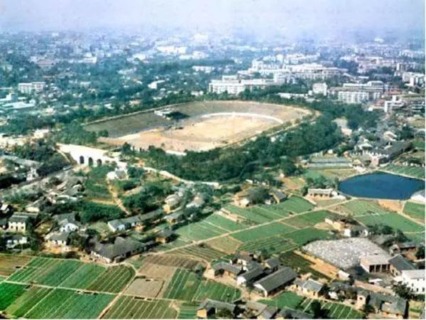 中国足球曾经的辉煌时刻,从稚气未脱到风华正茂