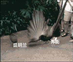 朱一龙小公爷齐衡是什么剧,我们的小公爷朱一龙完整版