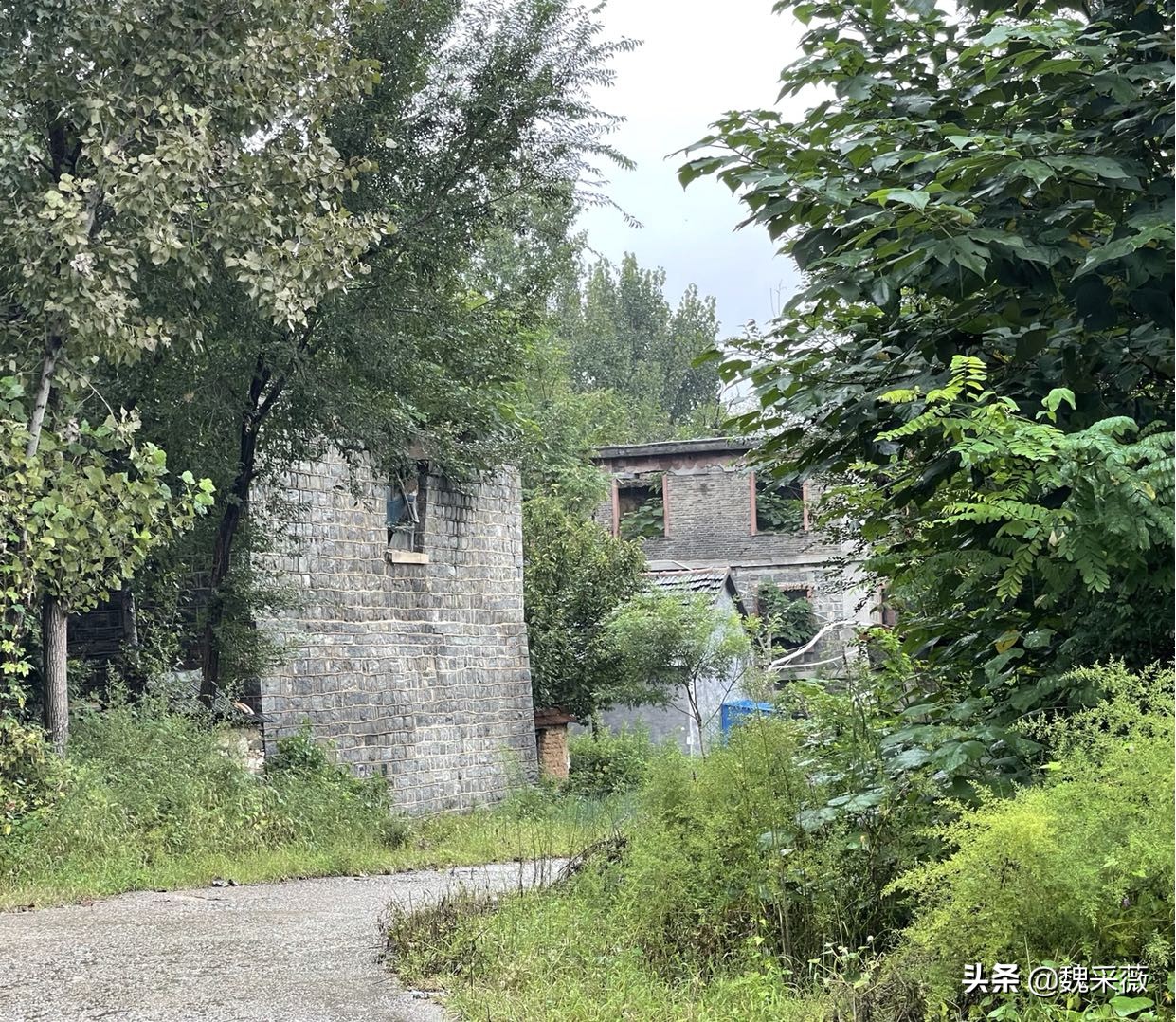 上世纪60年代红遍世界的大寨村,四十年前大寨村