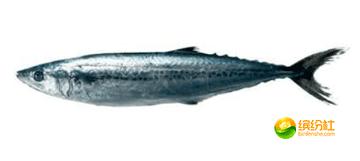 舟山海鲜代加工攻略,最全舟山海鲜攻略