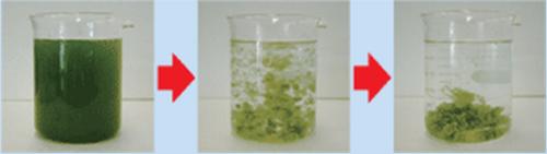 脑洞大开中的物理知识,脑洞大开的知识大全