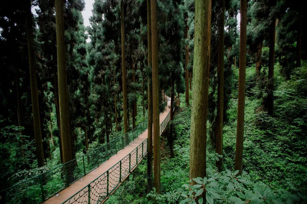 眉山东坡桃花源,眉山七里坪度假区图片