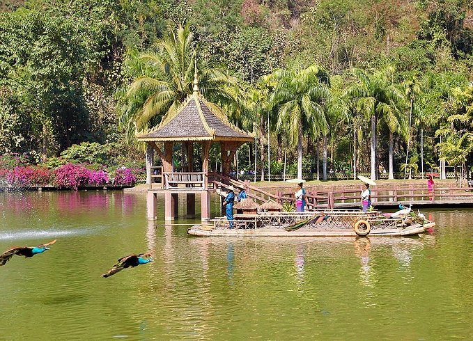 良心推荐｜1月高性价比出行，附出行指南和必游景点