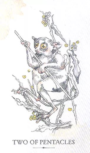 未来三个月遇见真爱的星座,单身的朋友请注意什么