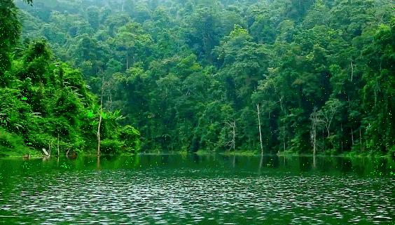 天目湖竹海漂流民宿,天目湖2天一夜亲子游