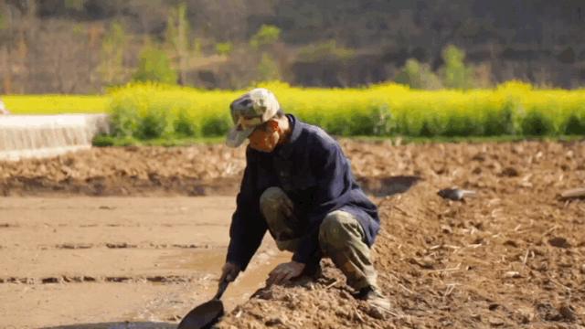 汉中周边踏青的好地方有哪些,汉中乡村游秘境