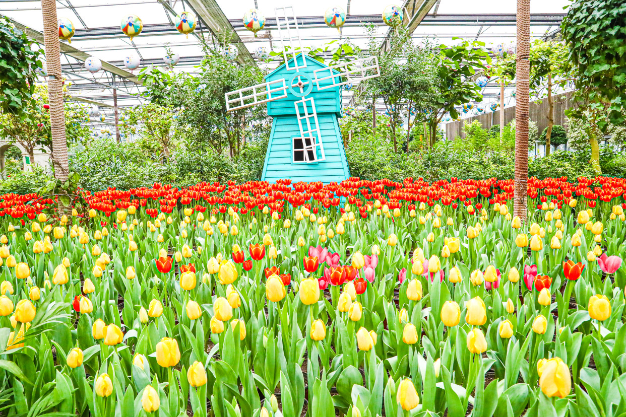 北京最大的温泉,北京最大的温泉是哪里
