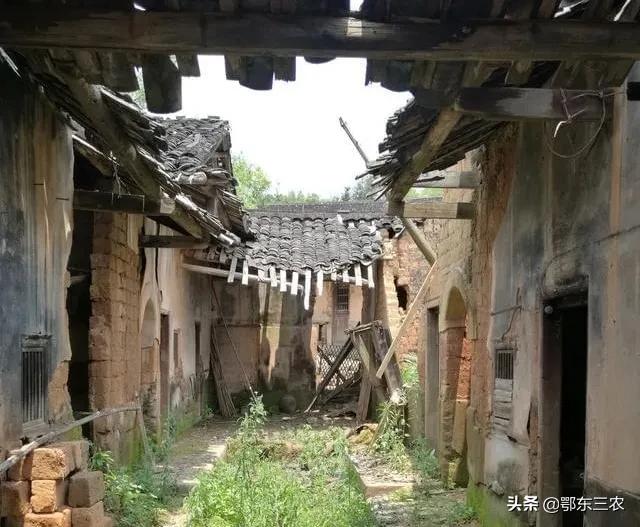 大量收购工地废旧木材包赚不赔,废旧木材收购生意赚钱吗