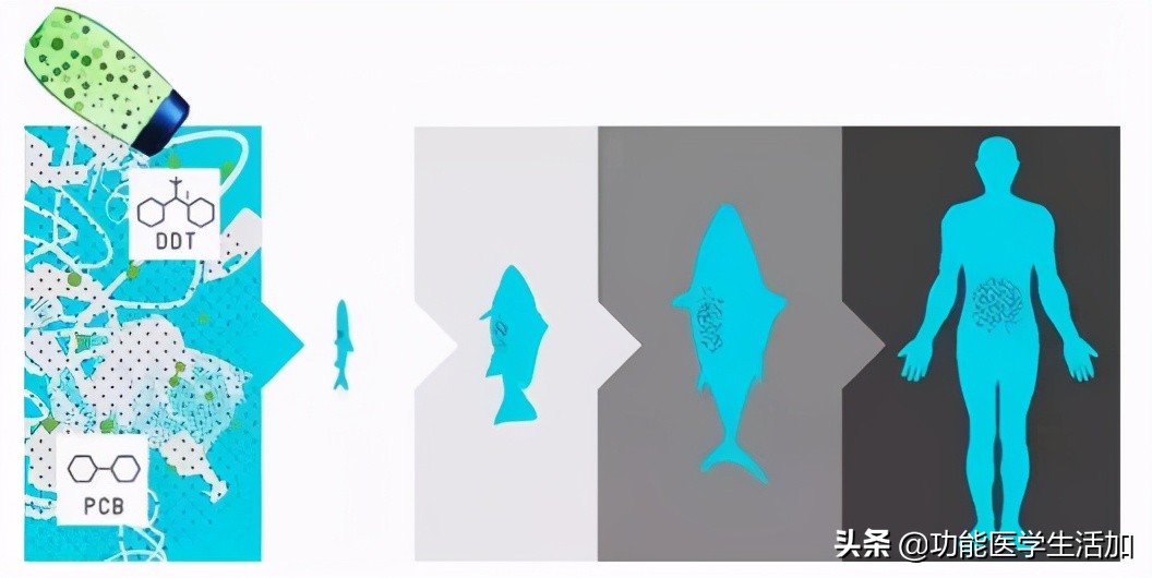 怎样避免塑料微粒对身体的伤害,塑料微粒对人的危害