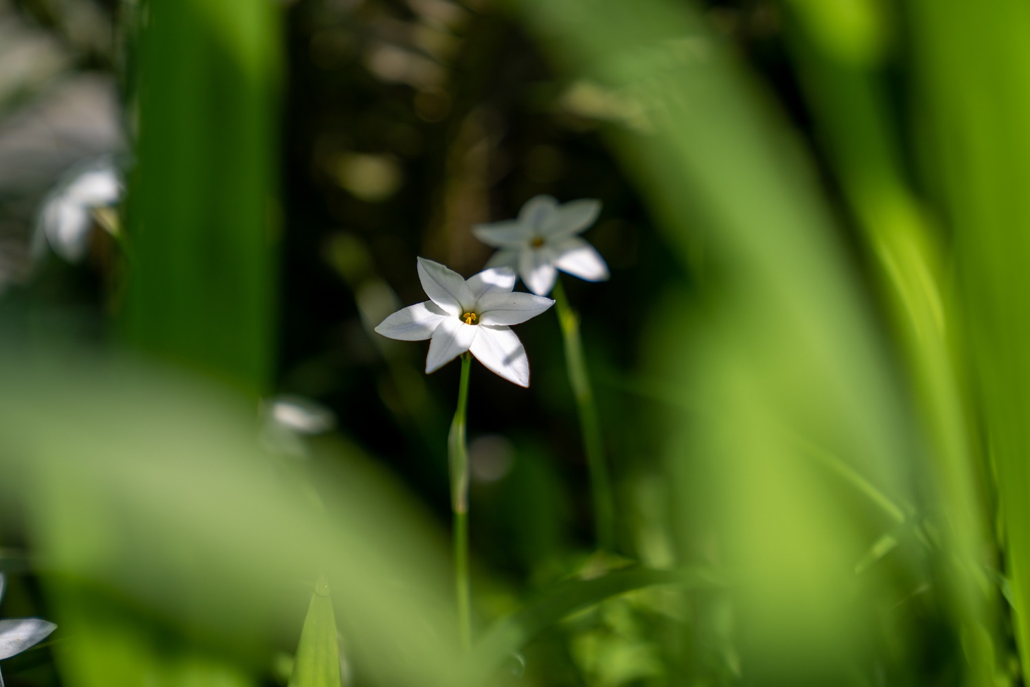 海蒂和噜噜的花园值得推荐吗,海蒂和噜噜的花园打卡