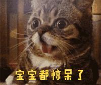 禁欲10年换来的肉体解放了