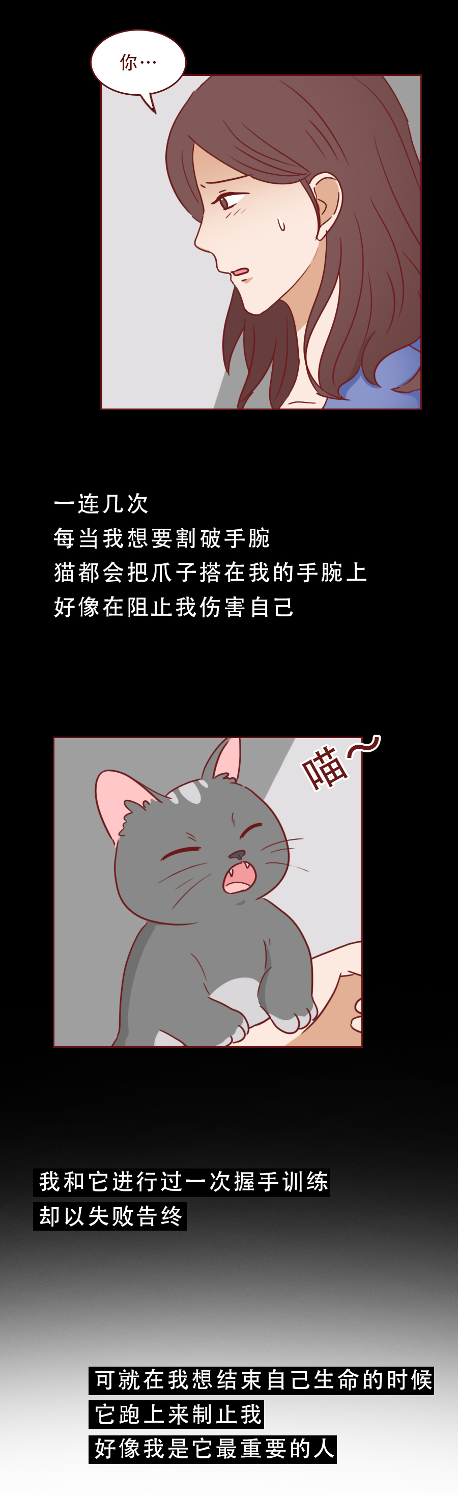 捡了一只猫好像抑郁了怎么办,一只抑郁症猫咪被救赎的故事