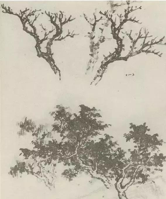 缠枝、挺杆、屈节、钮裂、一棵树如何画？看了这篇你绝对能学会