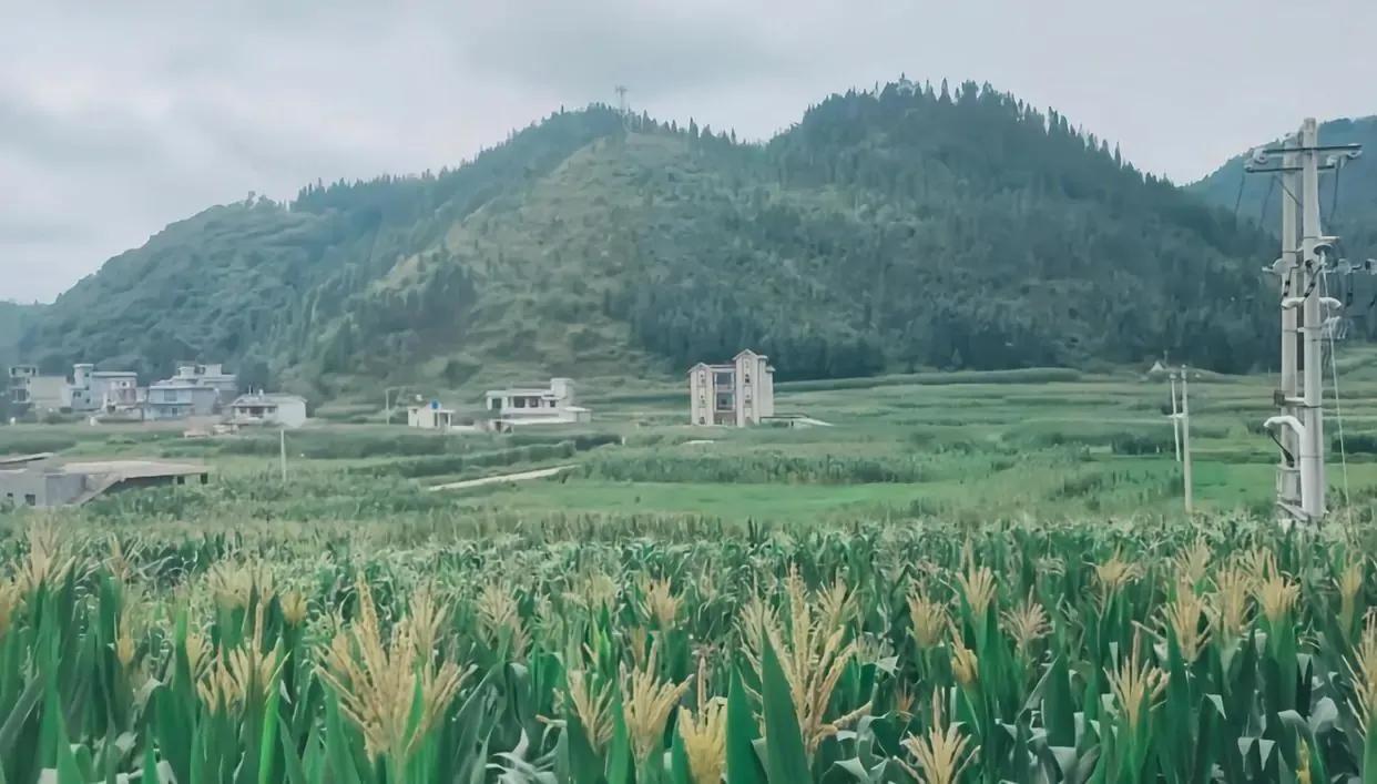 旅行中看到有特色的人,旅行中看到的有特色的人