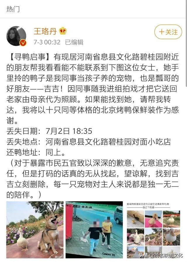 王珞丹宠物鸭被偷视频,王珞丹高价寻找宠物鸭